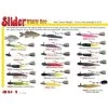 Slider Co Whirly Bee -Fishing Sale Shop Whirly Bee 034398910818 image1 03905.1385080495